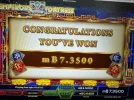 2323232.webp