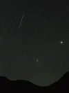 perseids1-cropped-portrait.jpg perseids1-cropped-portrait.jpg
