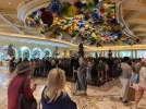 IMG_7931.jpeg