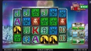 wildflower.webp