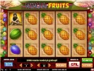 ninjafruits.webp