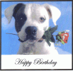 happy-birthday_204.gif