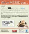 slotmadness free chip.webp