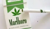marijuana-cigarettes-300x177.webp