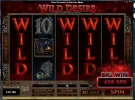 14-2-2014_Wild desire.webp