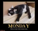 goat.webp