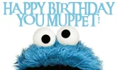 muppet.webp