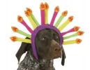 images.webp