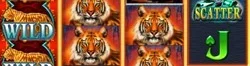 Untitled.webp Untitled.webp