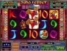 Judo Ferret 2.webp