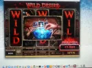wd0.webp