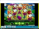 rsz_wonk5wilds.webp