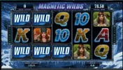 magnetic-wilds.webp