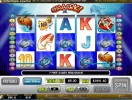 5 sharks $5 intertops classic.webp