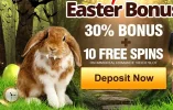 bunny.webp