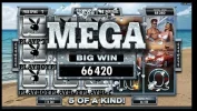 66420.webp