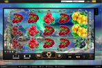 winterberries initial.webp