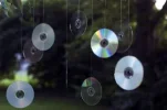 cds87-300x199.webp