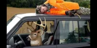 deer hunting.webp