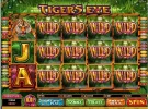Tiger358.webp
