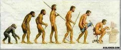 evolution.webp