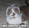 tinfoilhat.webp