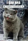 i-can-has-cheezburger.webp