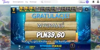 casinomeister4.webp