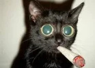 joint.webp joint.webp