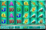 ragingrhinotoday2.webp