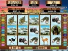 kilamanjaro.webp
