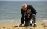 DDAY.webp