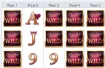 c42BOSD.webp