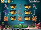 big win wish master.webp