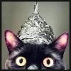black-cat-lol-lolcats-tinfoilhat-nowords-humor-joke-photo-picture-funny.webp