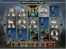 Eagle0808.webp Eagle0808.webp