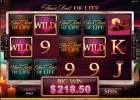 Finer.Reels.150.1.webp