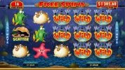 fish.webp fish.webp