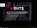 guts.webp