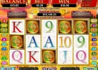 5 scatters!!.webp