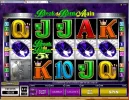 BDBA 4 [800x600].webp