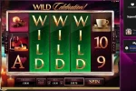 celebration!.webp