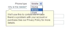 phone.webp