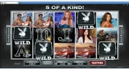 PBplatplay4wilds75xbet.webp