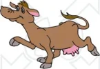 35657_happy_brown_cow_with_pink_udders_walking_in_profile_to_the_left.webp