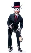 14257.webp