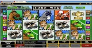 surewincuptournament5scatters.webp