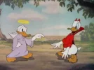 hqdefault.webp hqdefault.webp