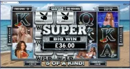 Playboy7sultanssofia120xbet.webp