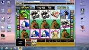 horses.webp
